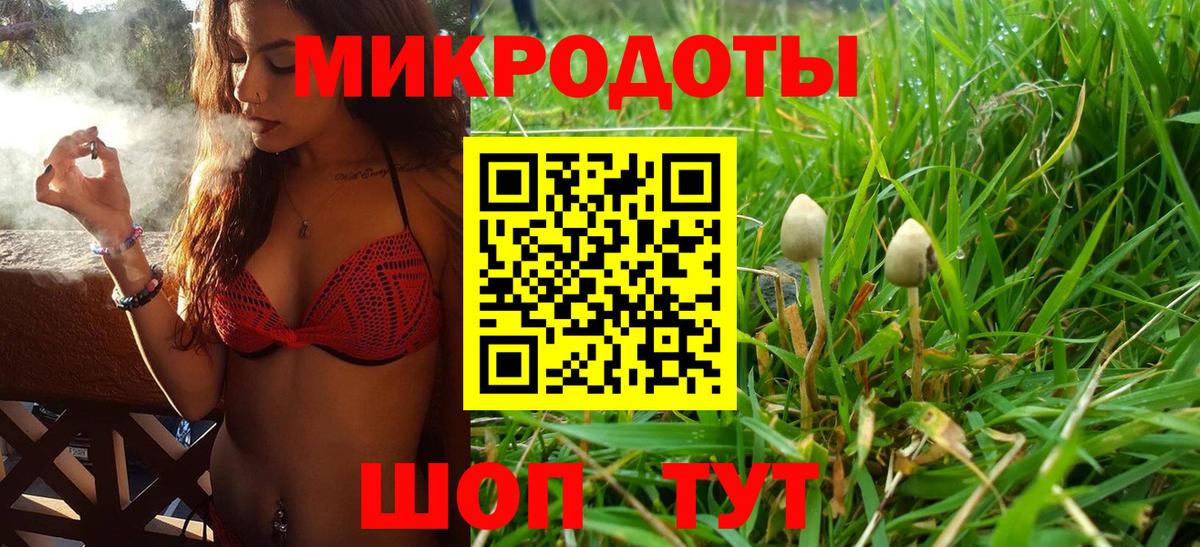 Галлюциногенные грибы ЛСД Луга